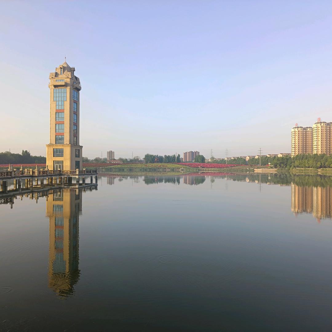 绿树