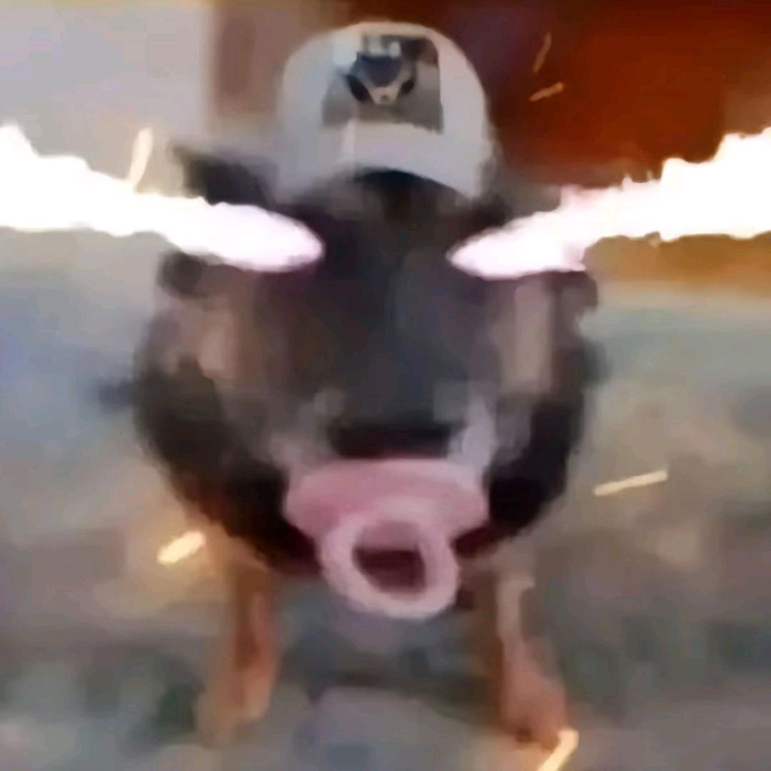 66666