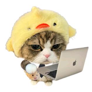 一拳打死一头大象