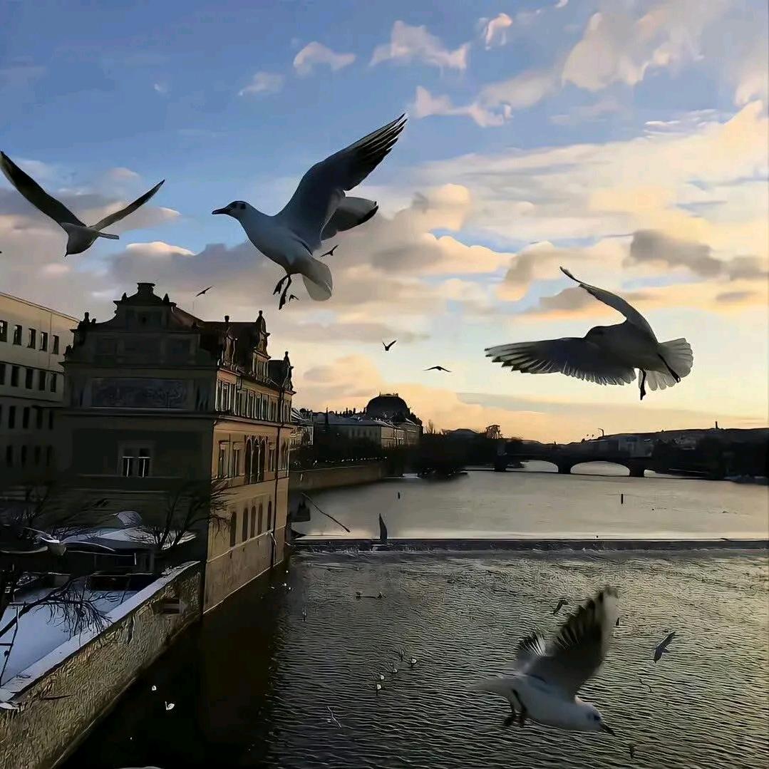 幼小衔接杨老师