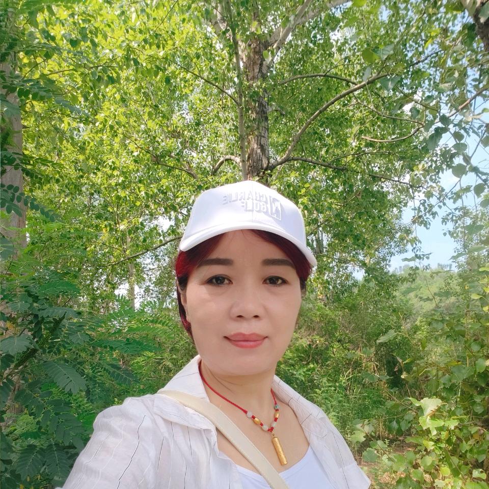 樱花🌸