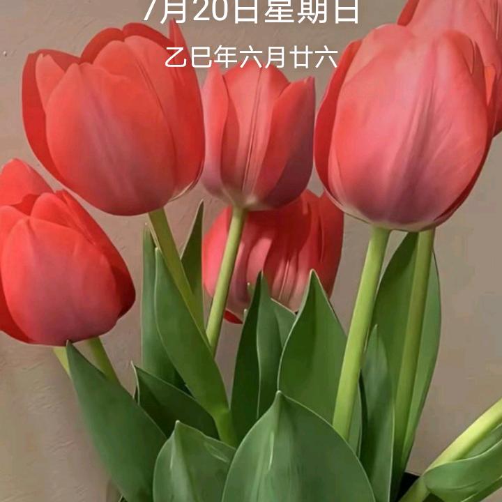 梦想。、