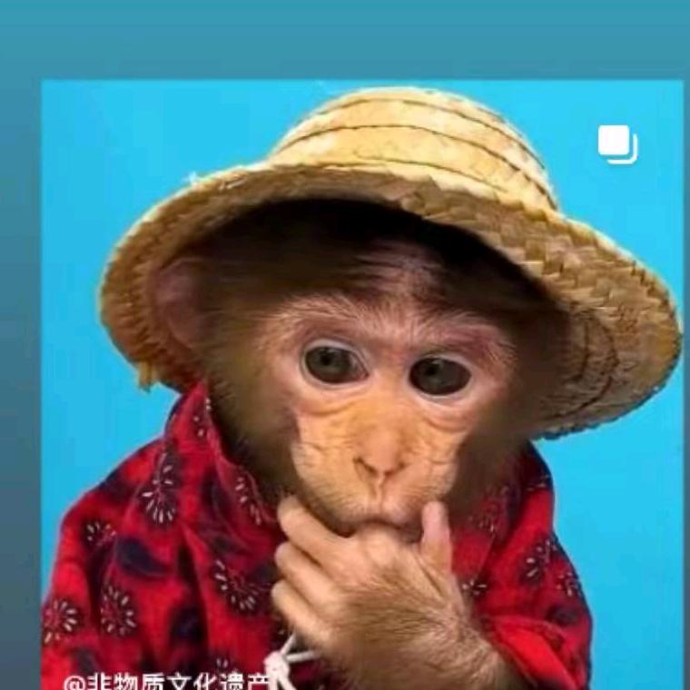 猴戏演出！