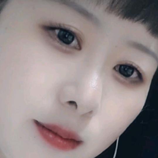 Y.冰青