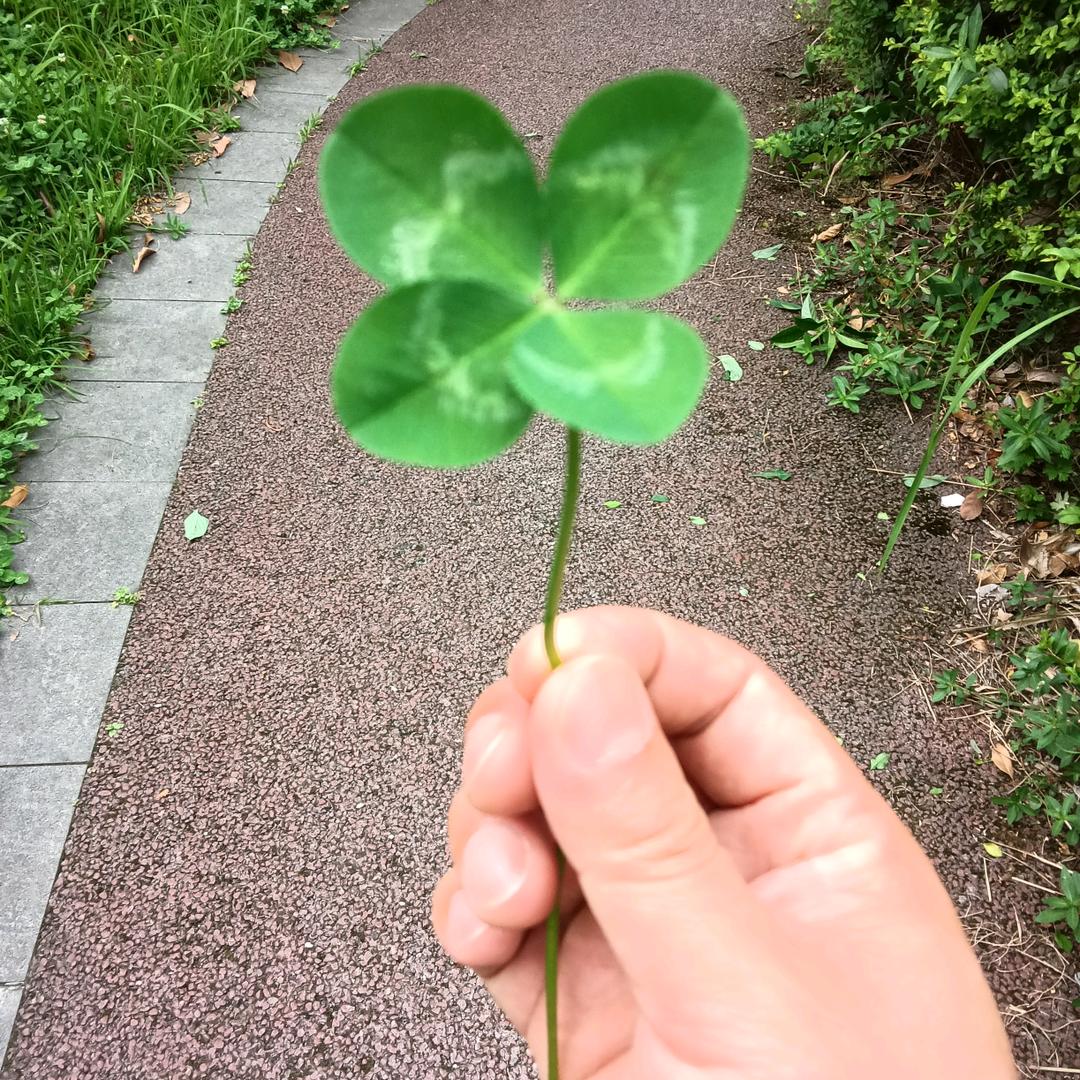 房小哥