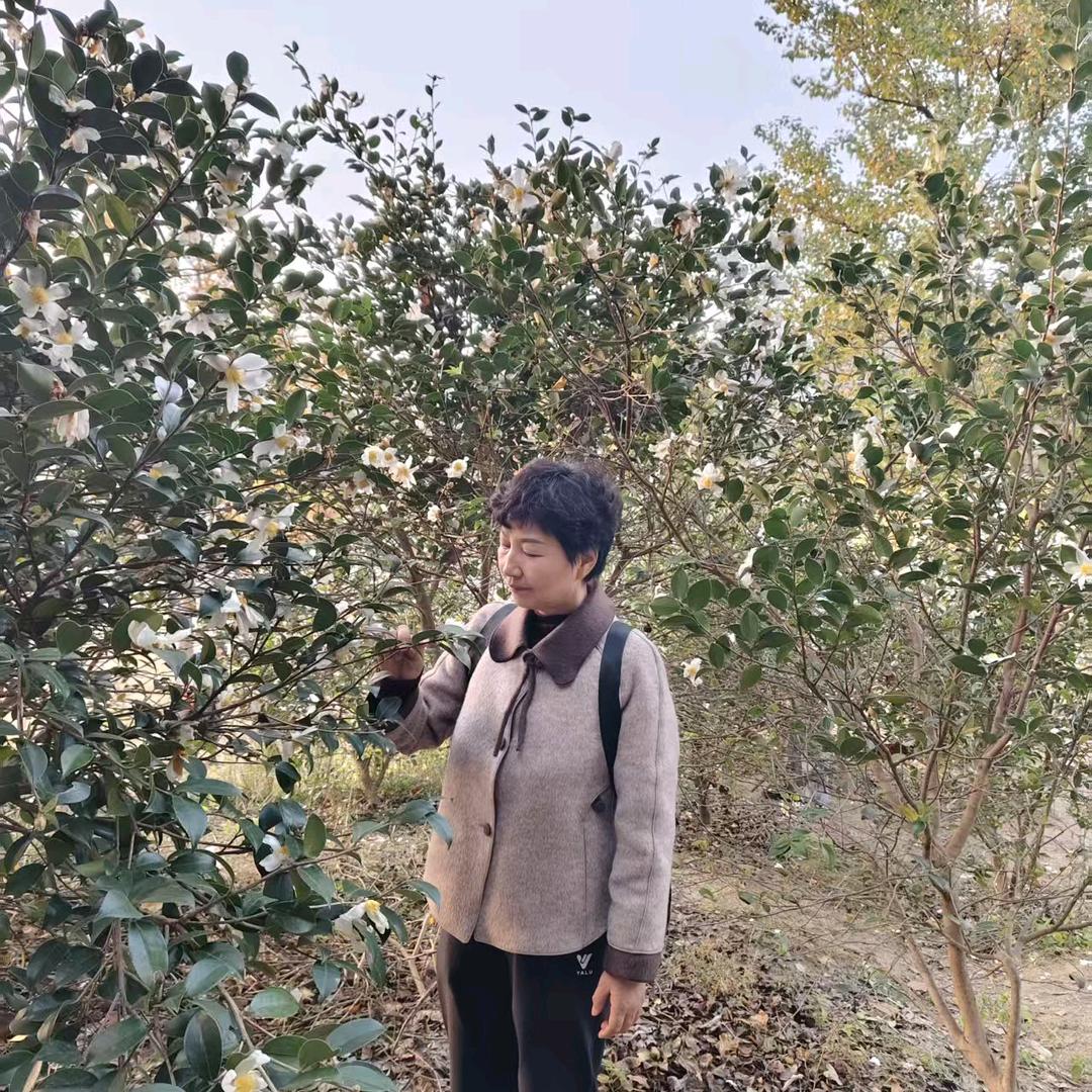 举高临夏