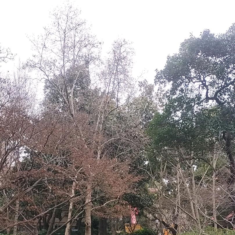 万里无云$