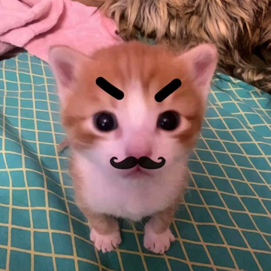 txyyy