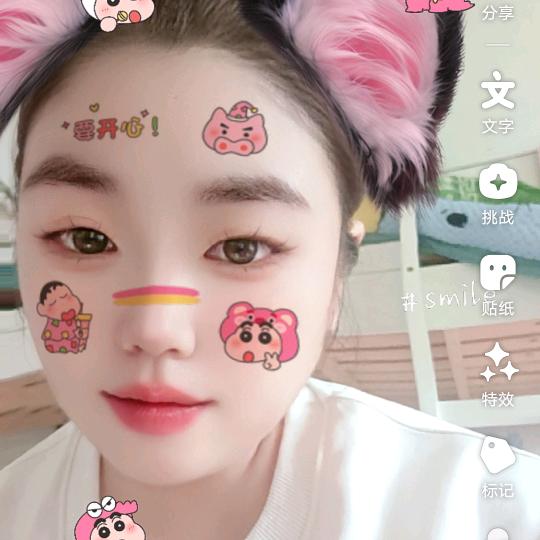 小灰灰