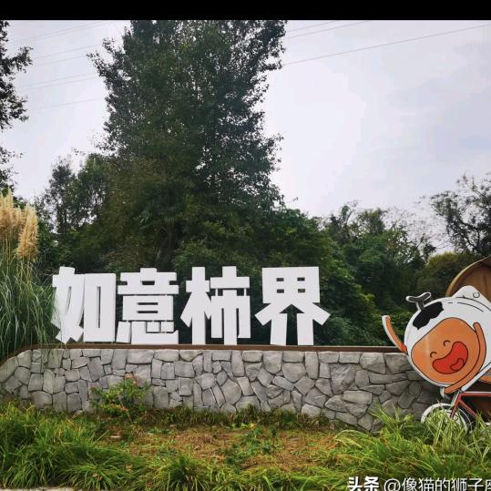 大司命