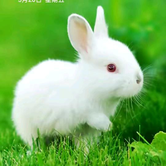 幸福靠自己