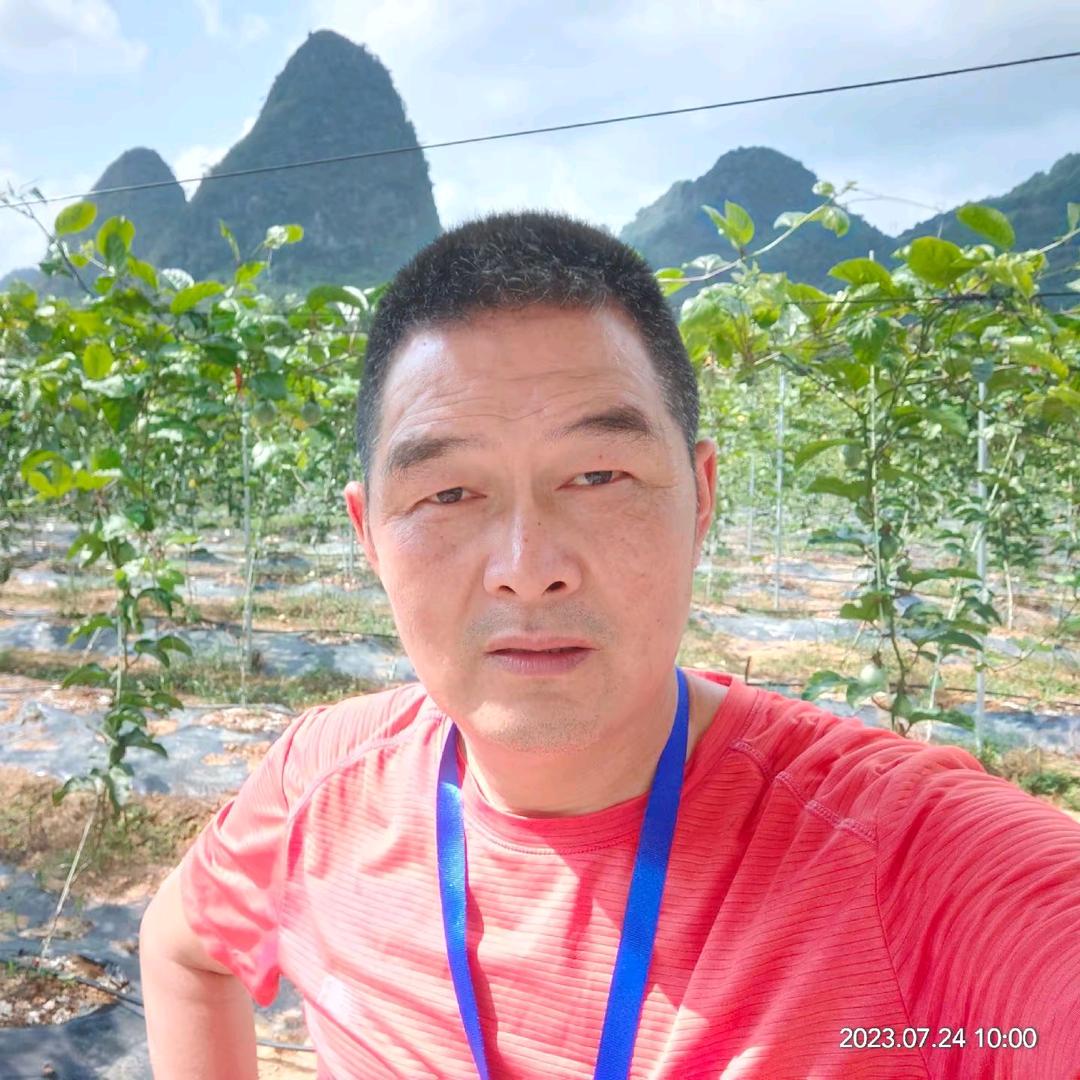 振兴者