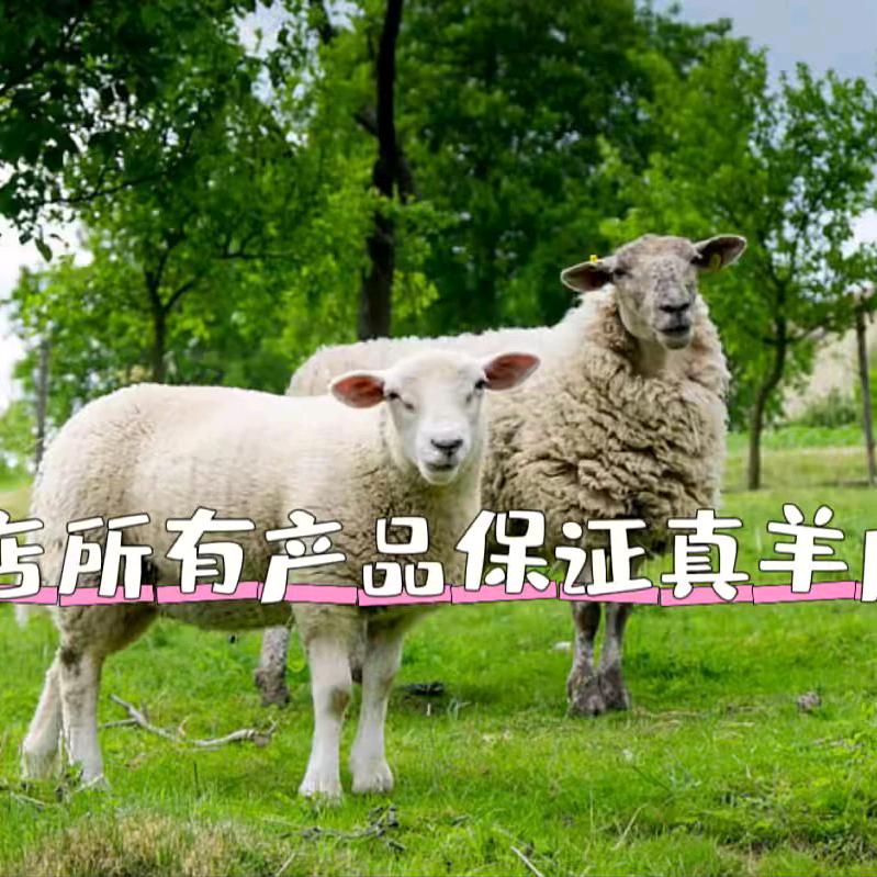 亿利皮毛工厂店