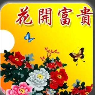 漂泊
