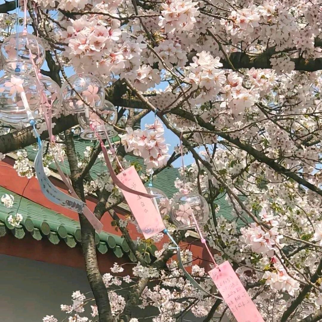 八月的风