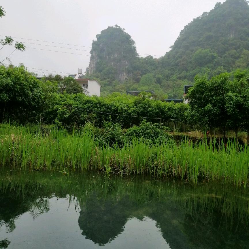 user5277635127925