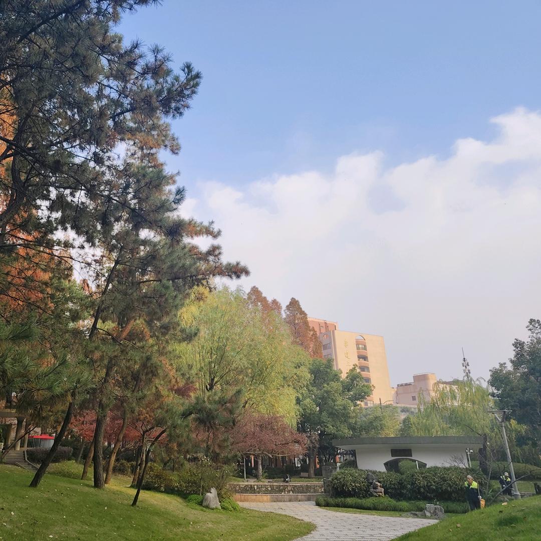 尔东陈的陈