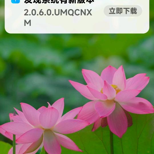 小草