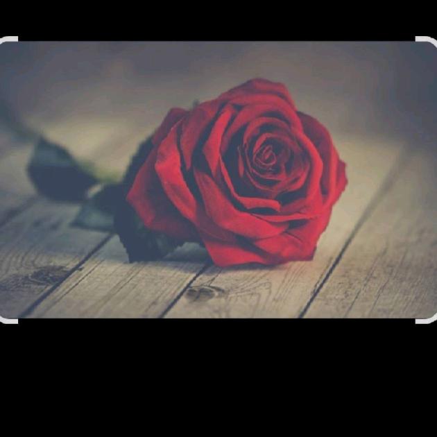 暖暖✨ᵏ⁹¹⁹