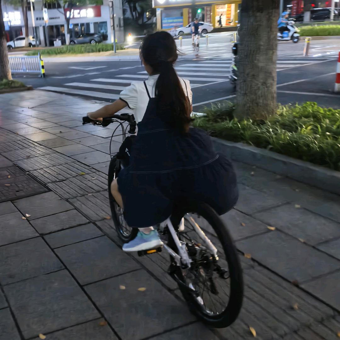 秦大兽