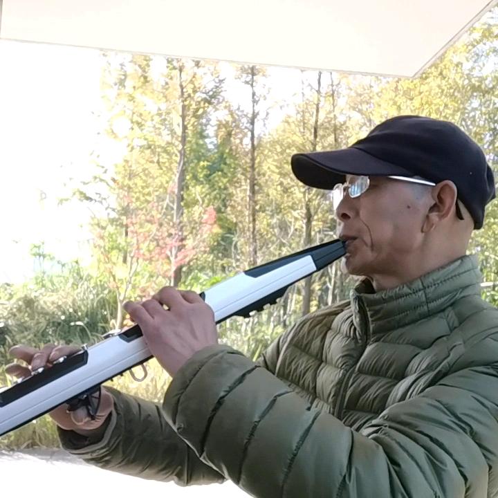 老王（爱吹管）