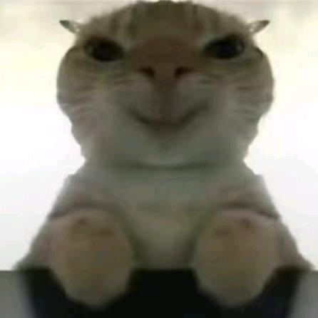 Puisyun