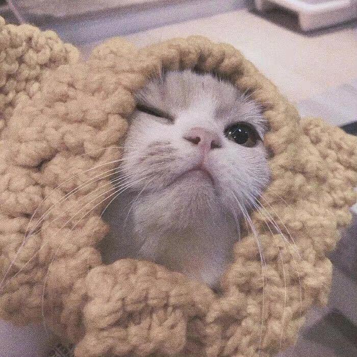 春天知我心