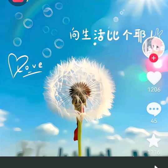 如你所愿