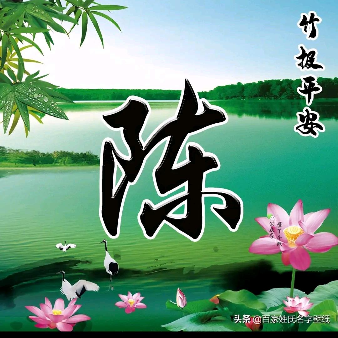 肥西小陈