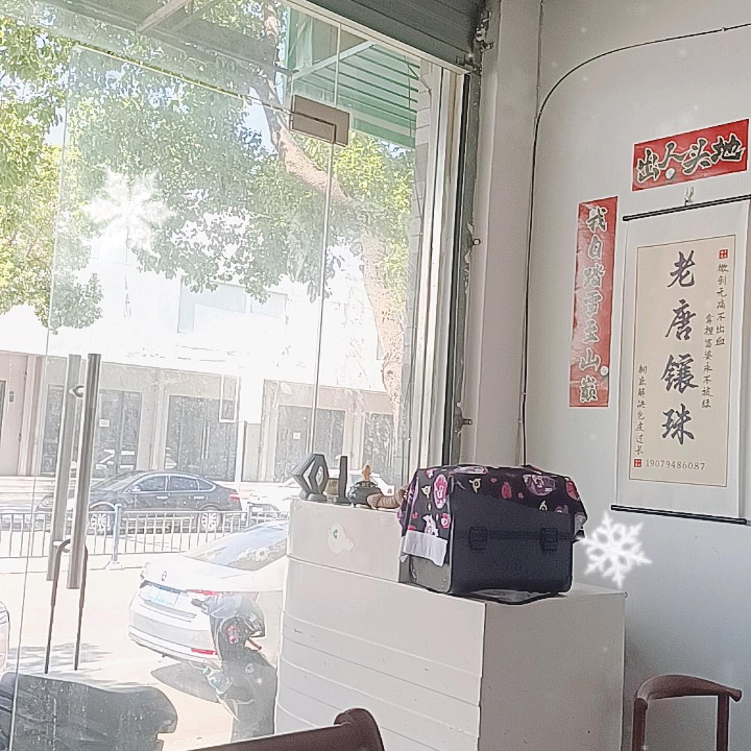 龙珠的传人