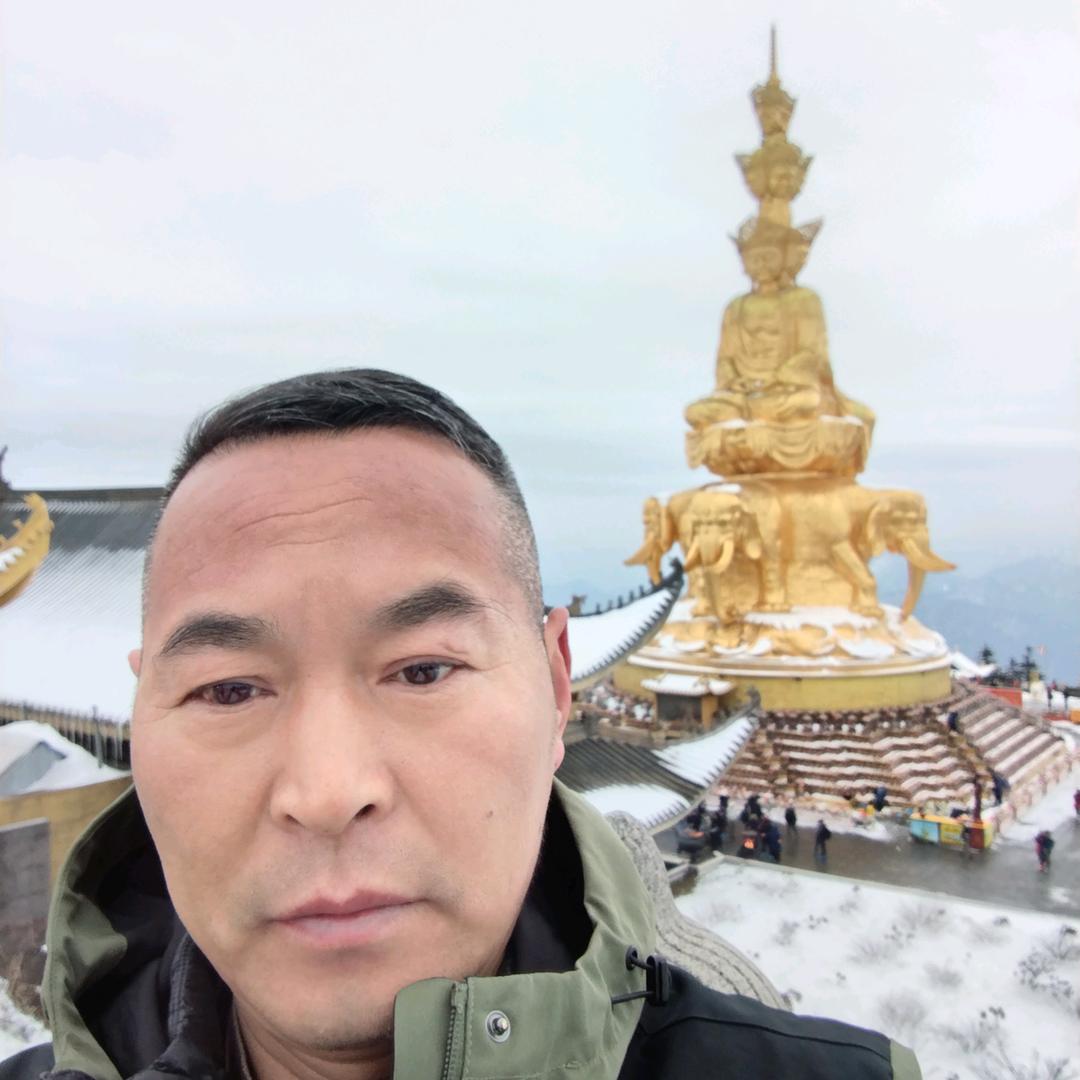 朱玉成.若有战.招必回