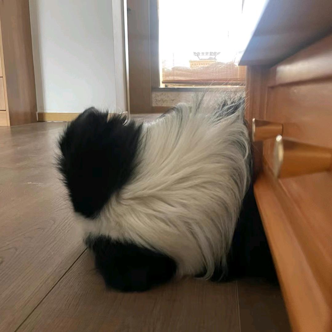 你知道的 我最爱吃熏鲅鱼了🤤