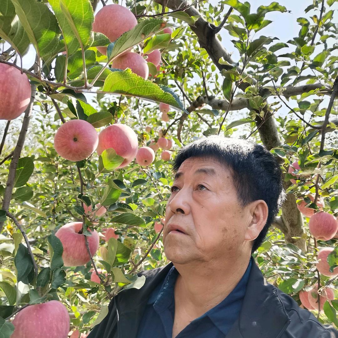 白水老贺