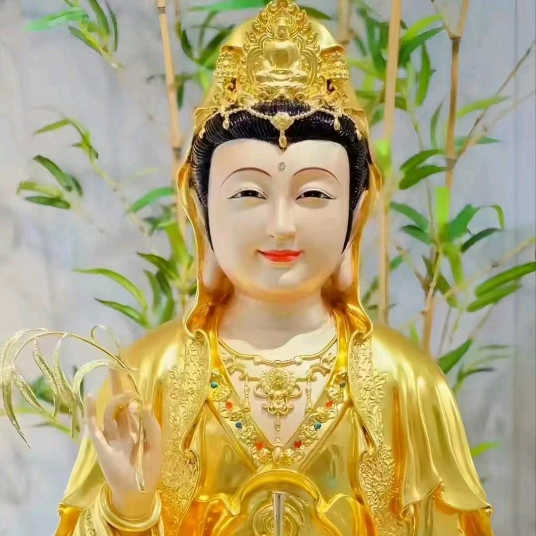 佛语莲心
