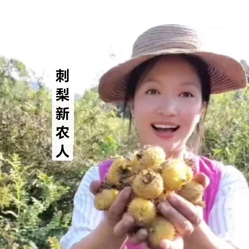 咸丰刺礼管家