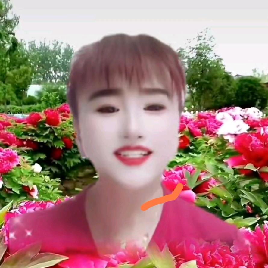 樱姐