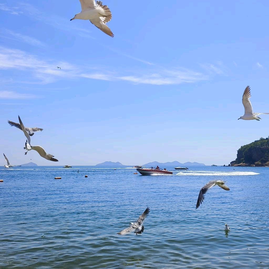 ༄ᐝ静沐🌻⃟暖阳໊ഒᩚ࿐