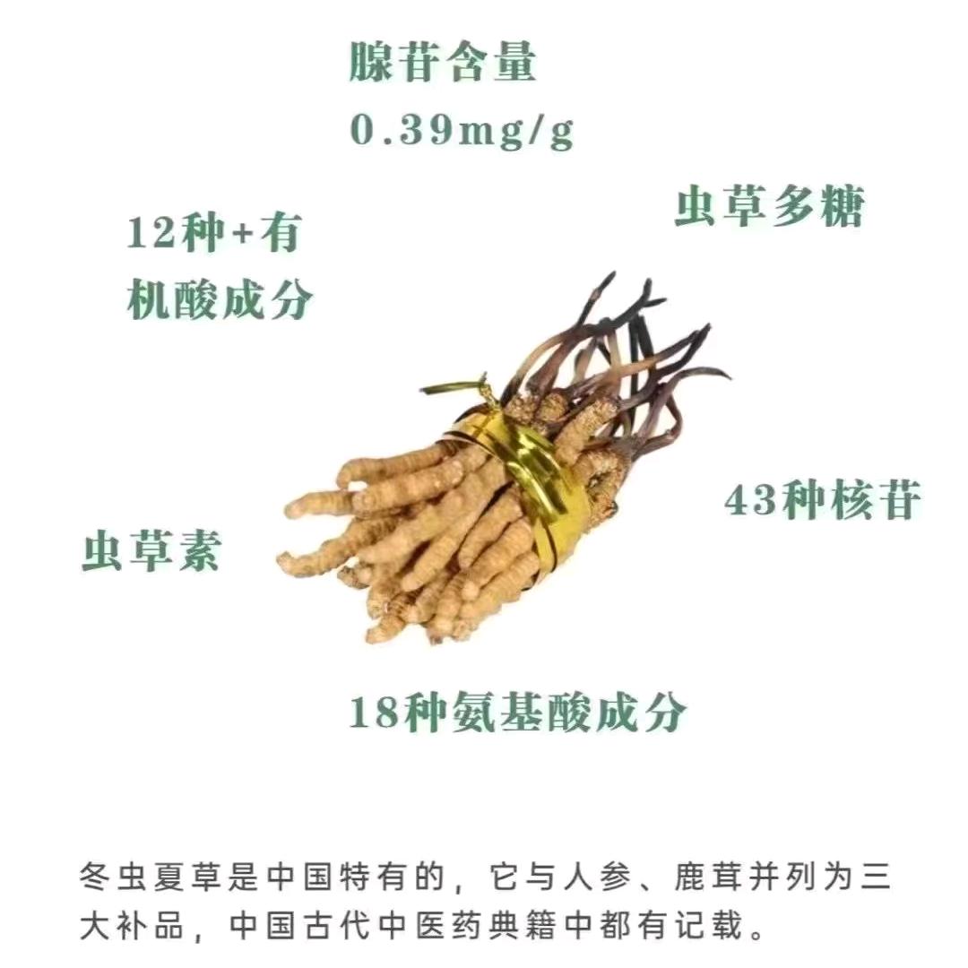 同桌