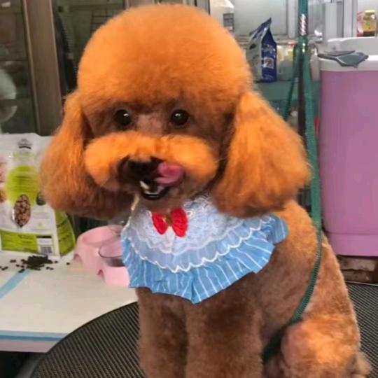 辽醉坊