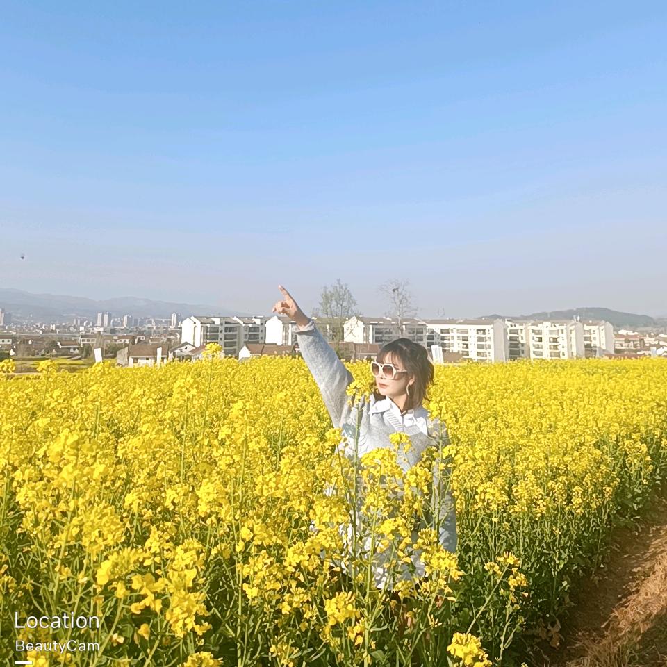 水清梦蓝🌹🌹🌹