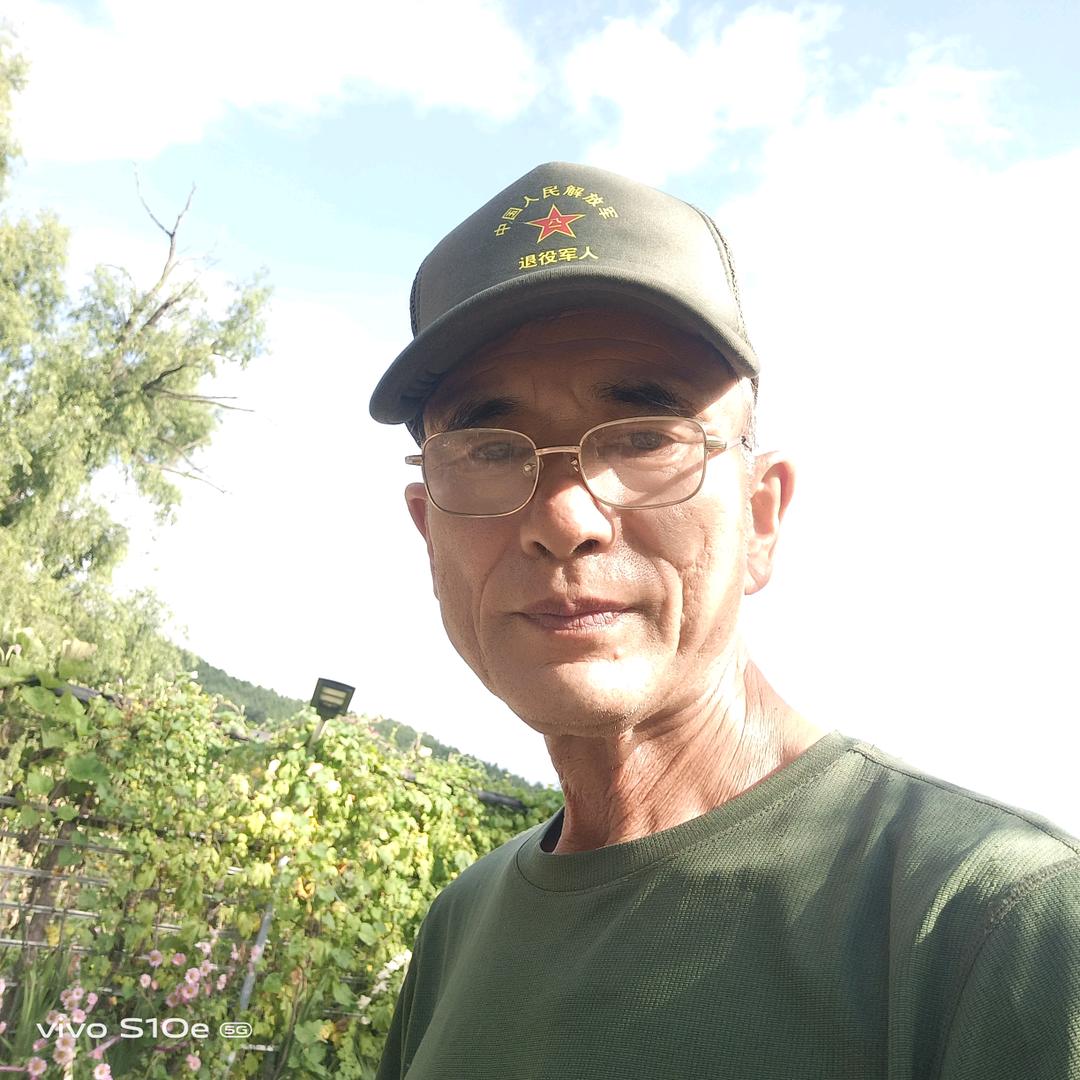 山中小院老王