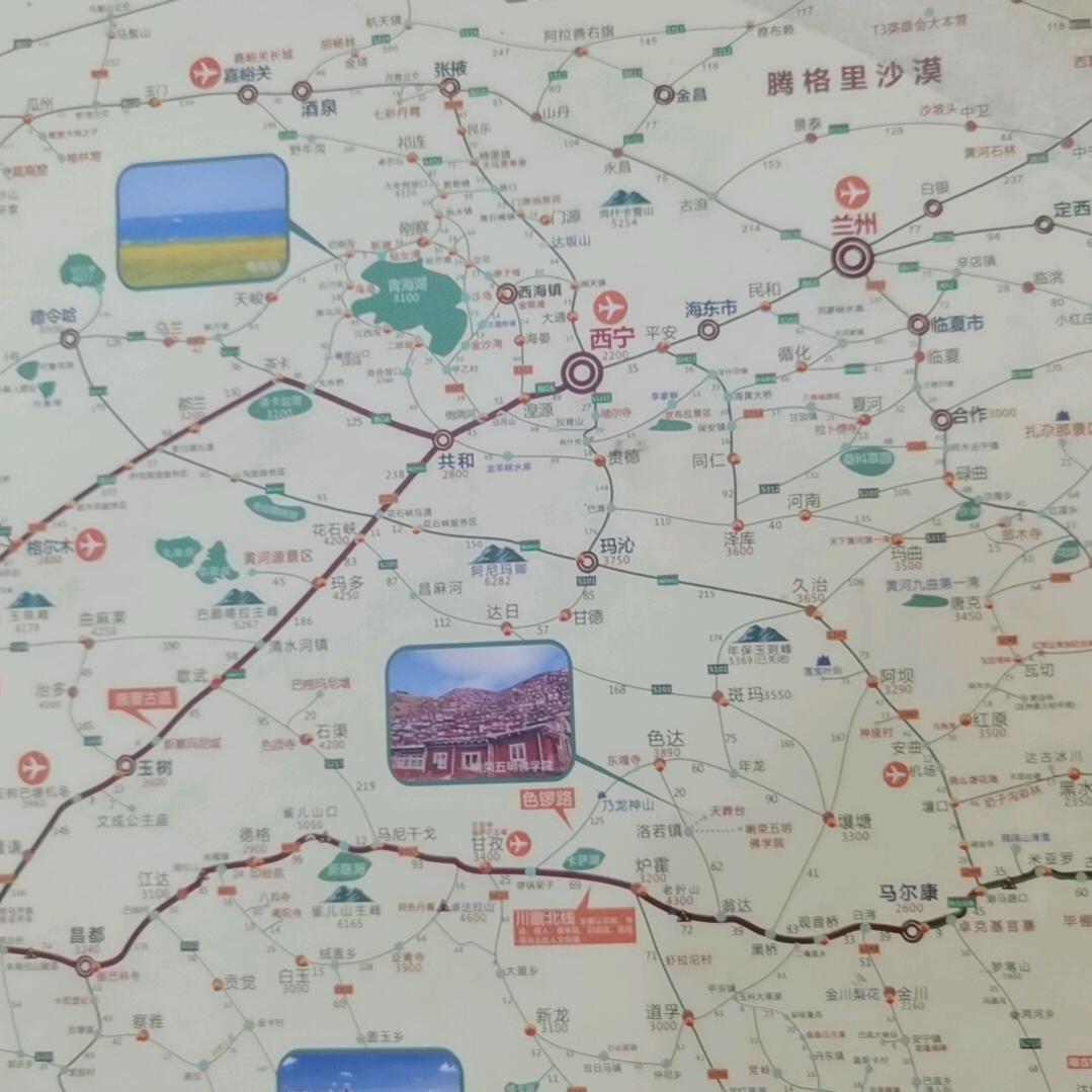 东戈黑黑游中国