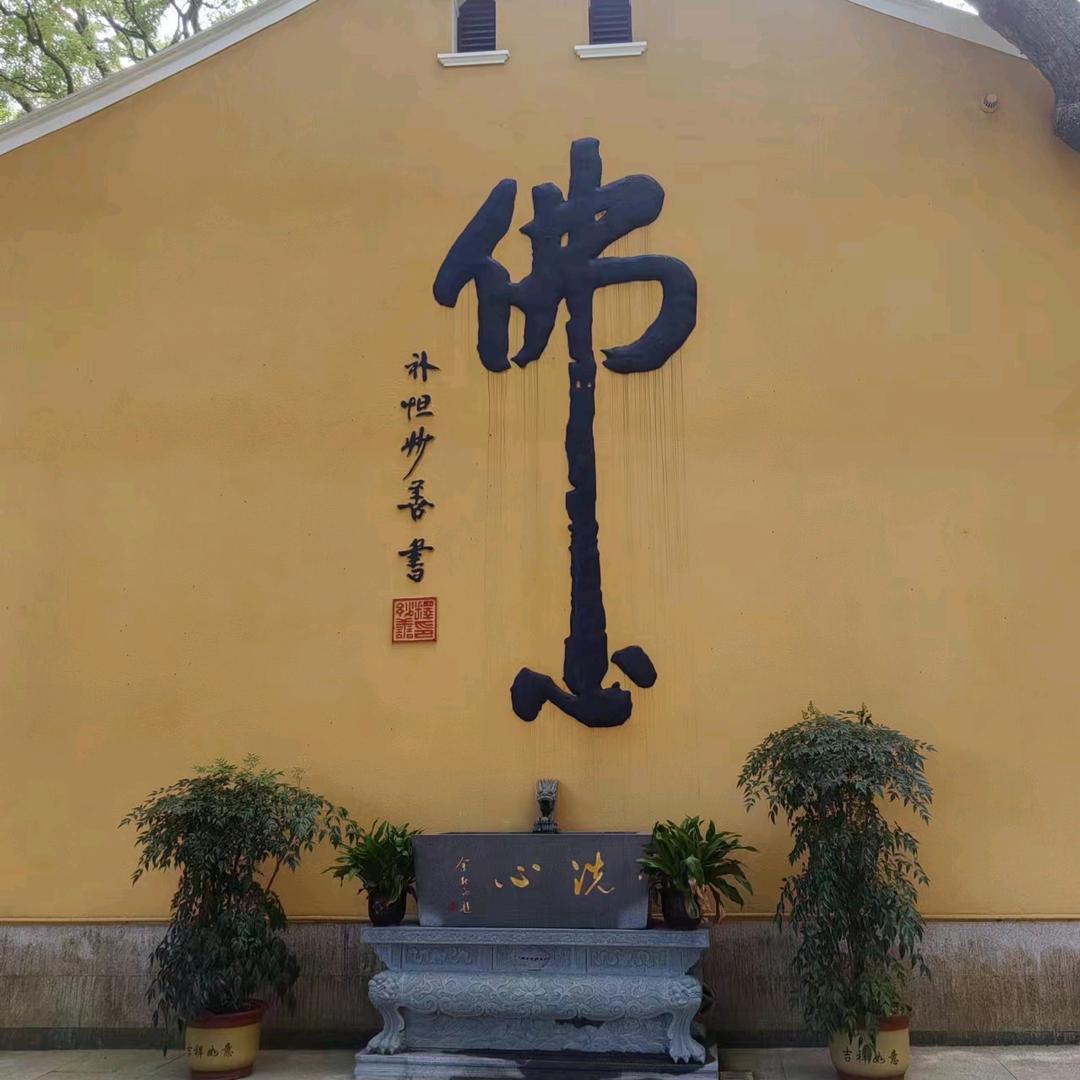 九衢农业