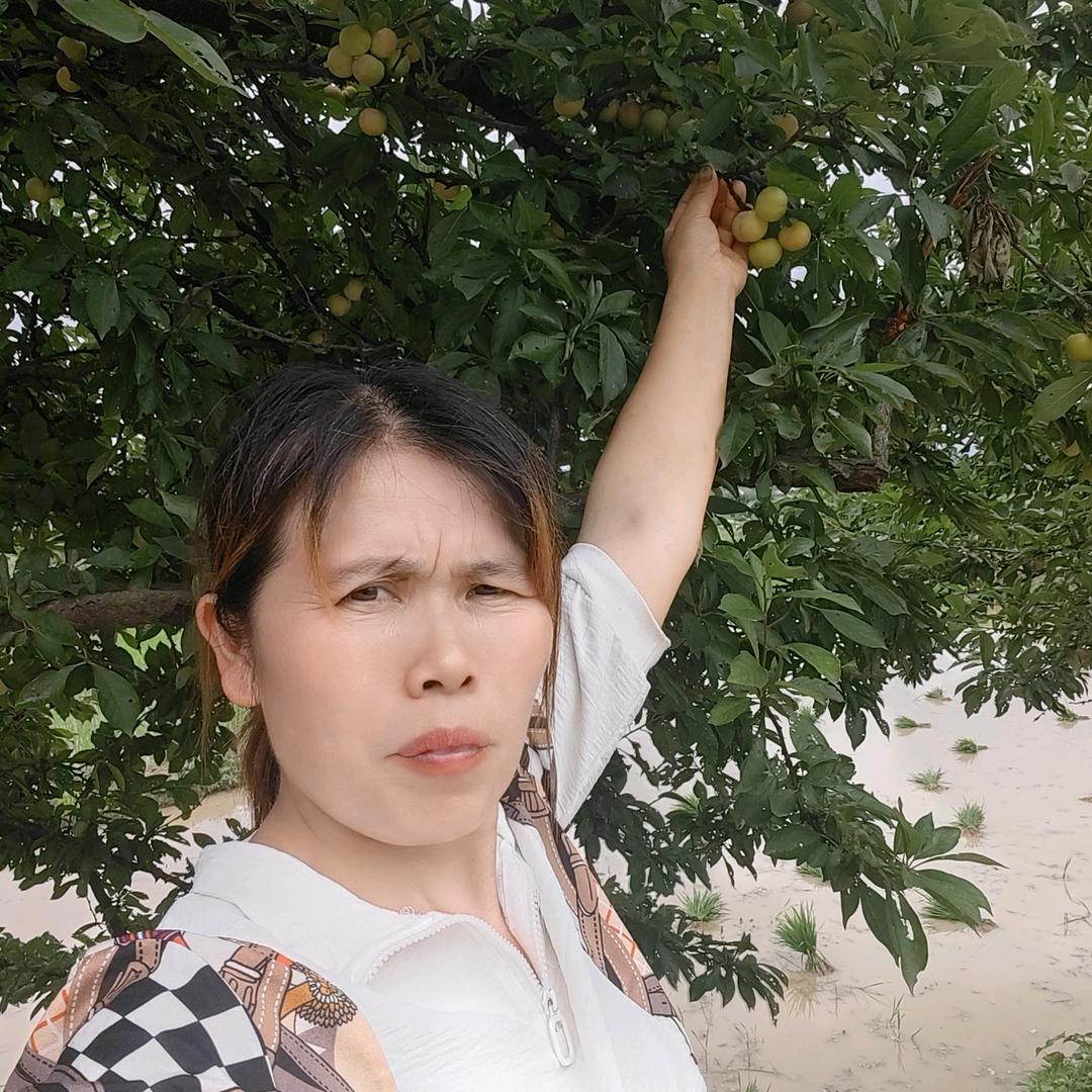 桃花山余姐助农（不定时开播）