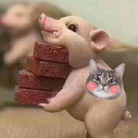 幸福的猪