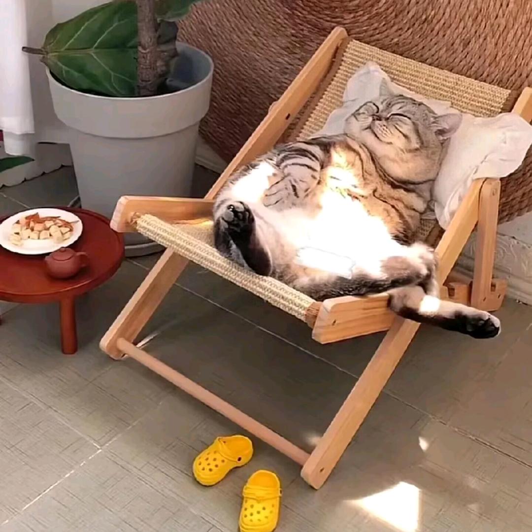 华华华