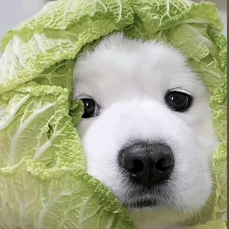 只想拍氛围感(˵¯͒〰¯͒˵)