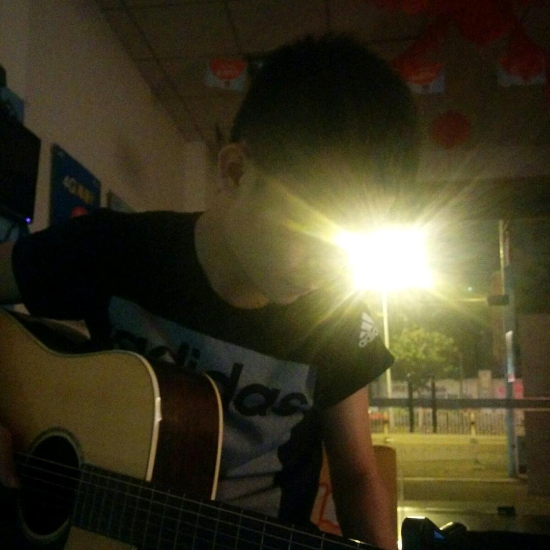 海南海花岛房产大树