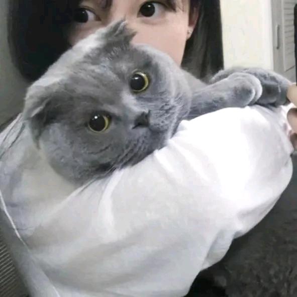 爱溜达のLùLù喵桑🐱