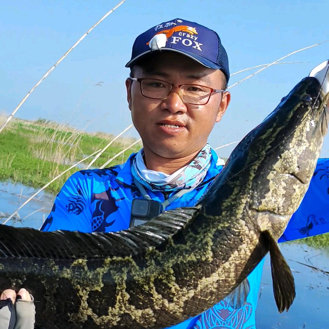 杨队户外